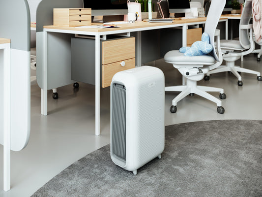 Luftreiniger BM100 Raumgröße bis zu 55m²